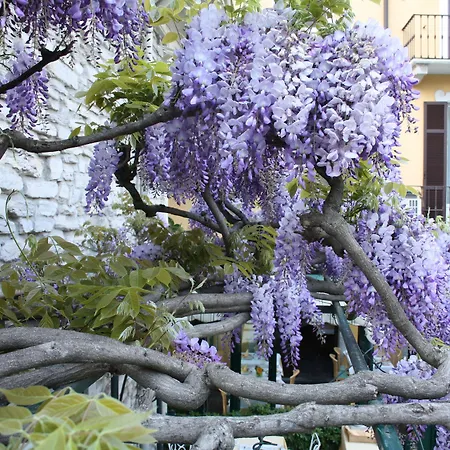 Posta Hotel Moltrasio