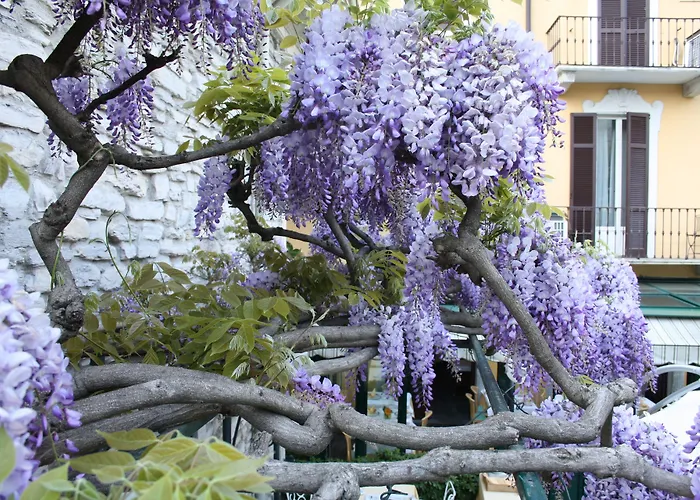 Posta Hotel Moltrasio